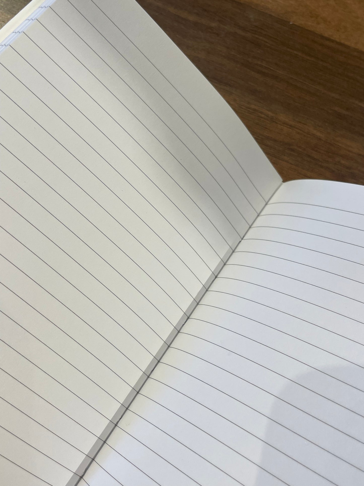 “The Secret to Getting ahead Is Getting Started” Journal