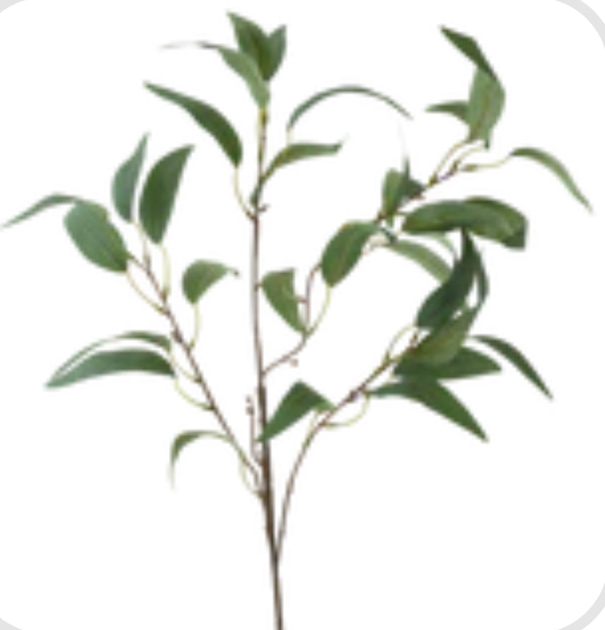 12” Green Eucalyptus
