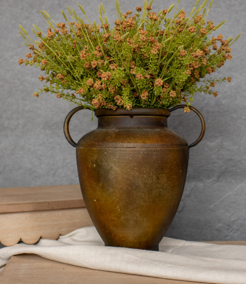 14” Burnt Orange Stonecrop Bush