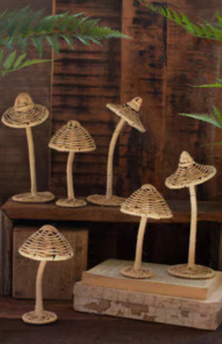 7.5”T Rattan Mushrooms