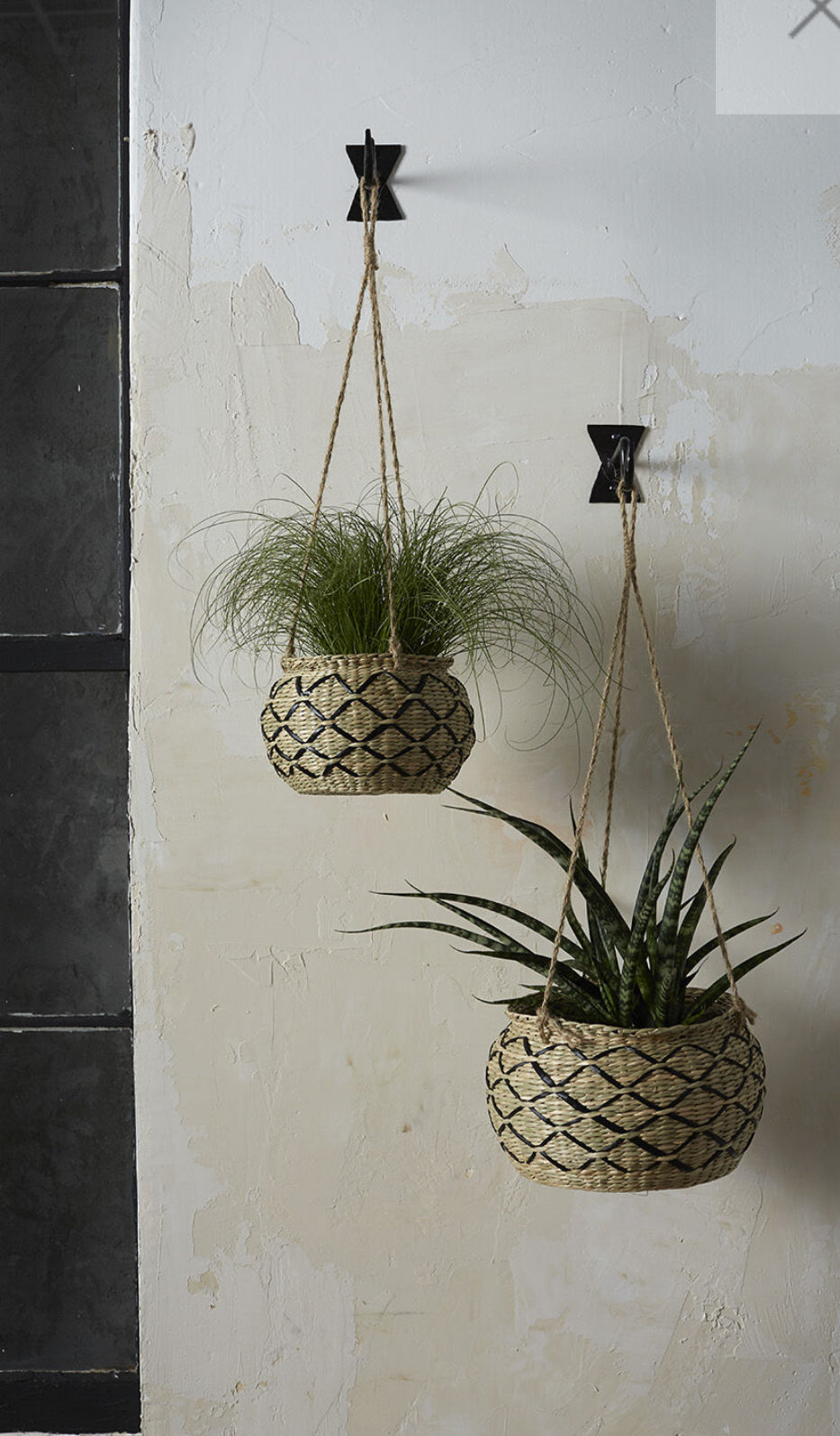 lg plant pots Tia Hanging Pot-Lg – Expressions By Shelley