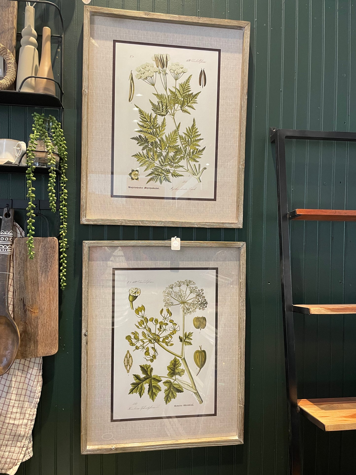 27.5 Botanical Prints-2 asst.
