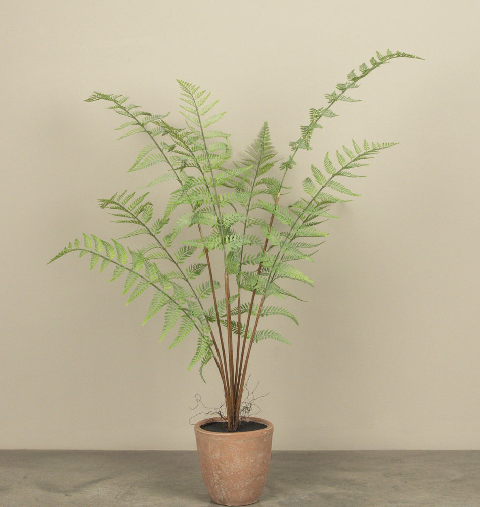3.5’ Potted Fern
