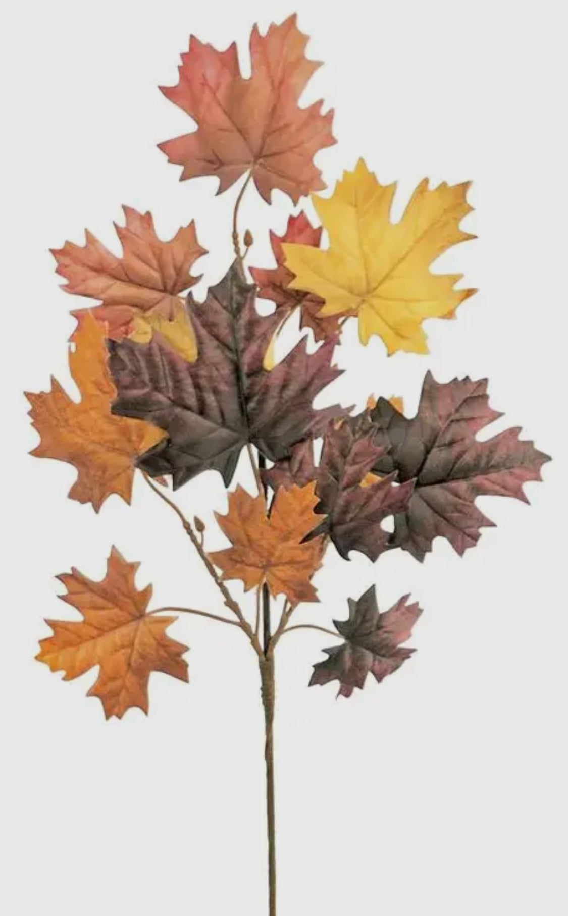 Maple Leaf Pick
