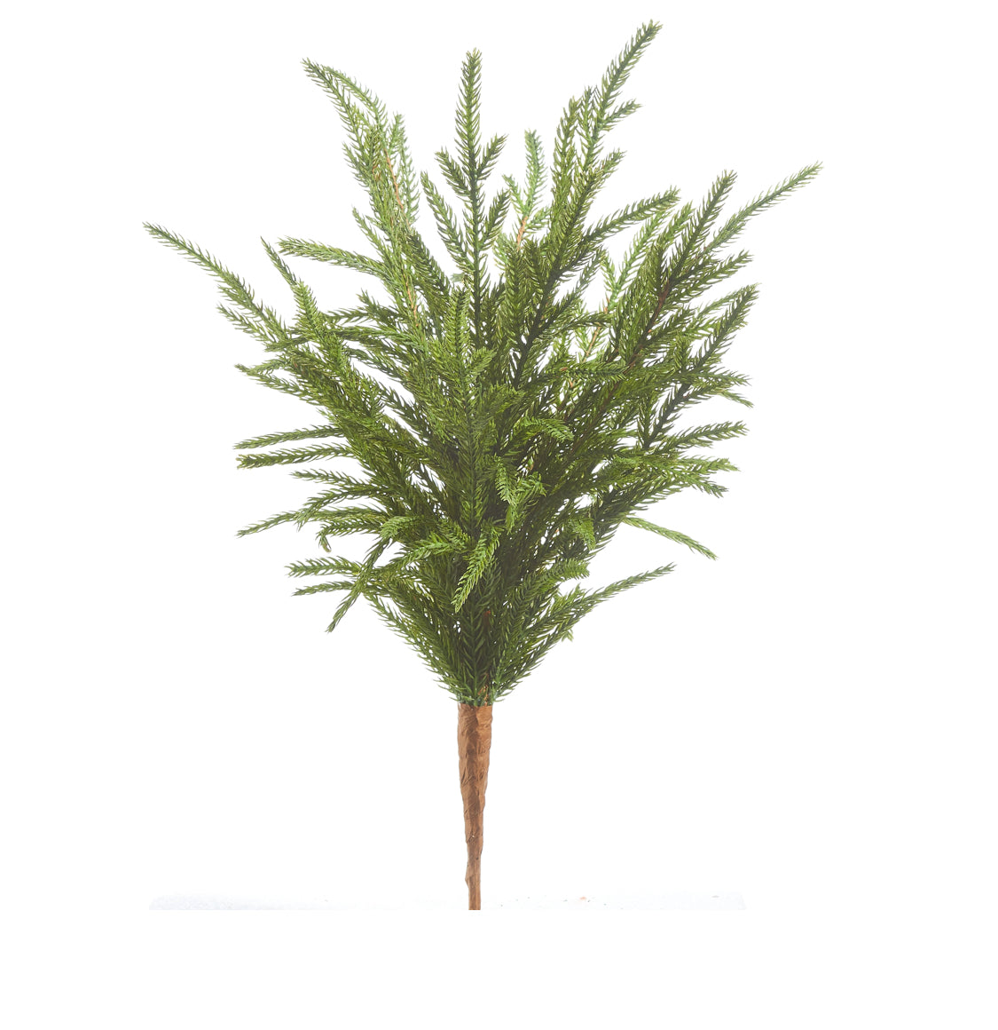 18” Soft Touch Norfolk Pine Pick