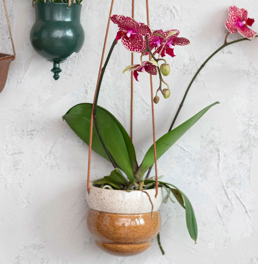 Hanging Stoneware Planter w/Cotton Hanger