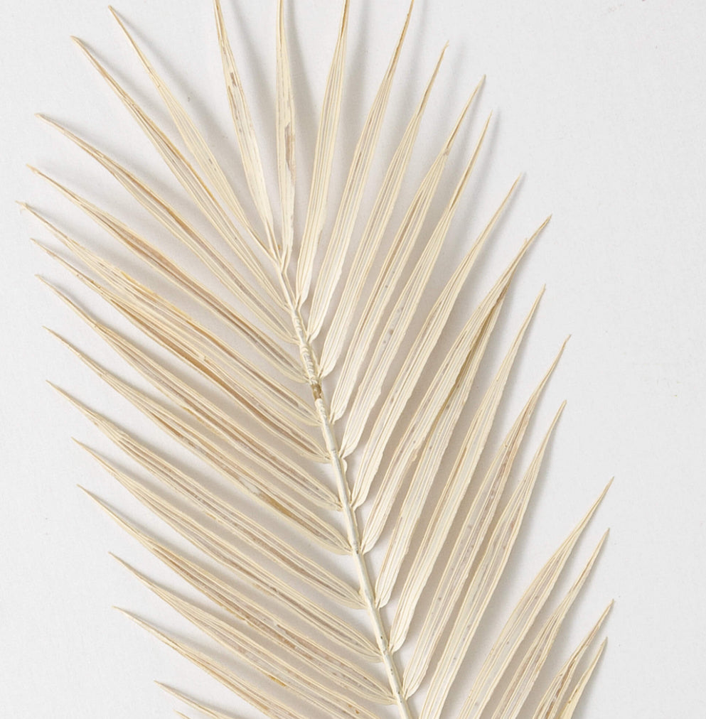 Oversized Cream Fern Spray