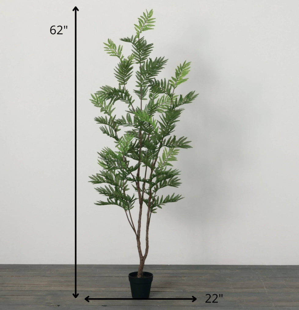 5’ Life-Like Fern Tree