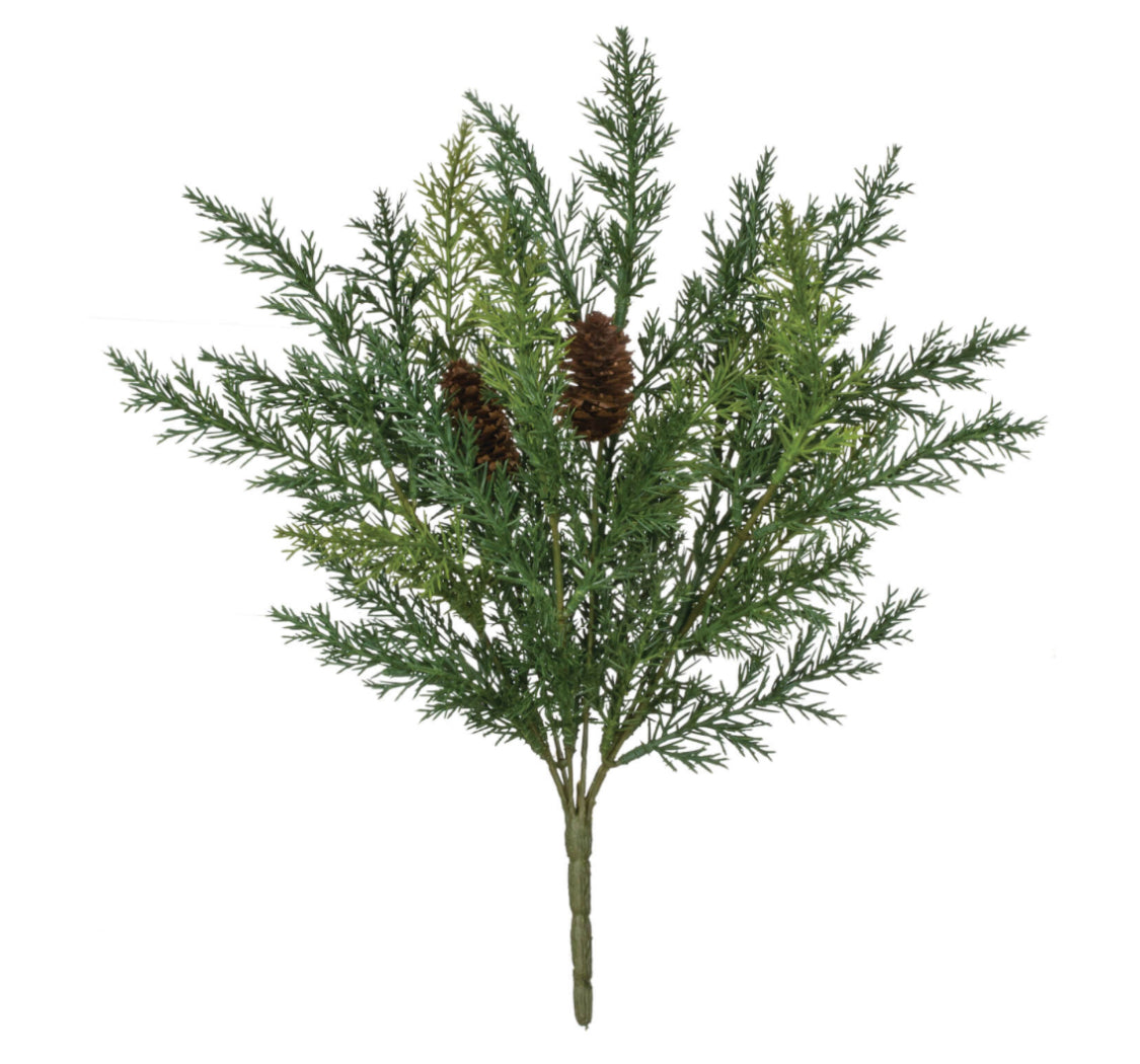Arborvitae Bush