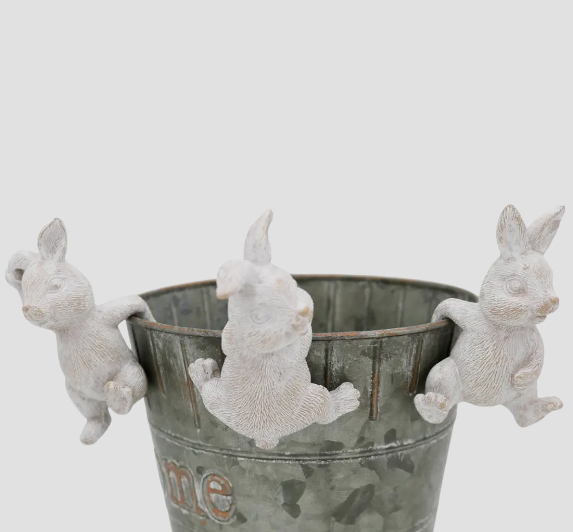 Bunny Plant Hangers