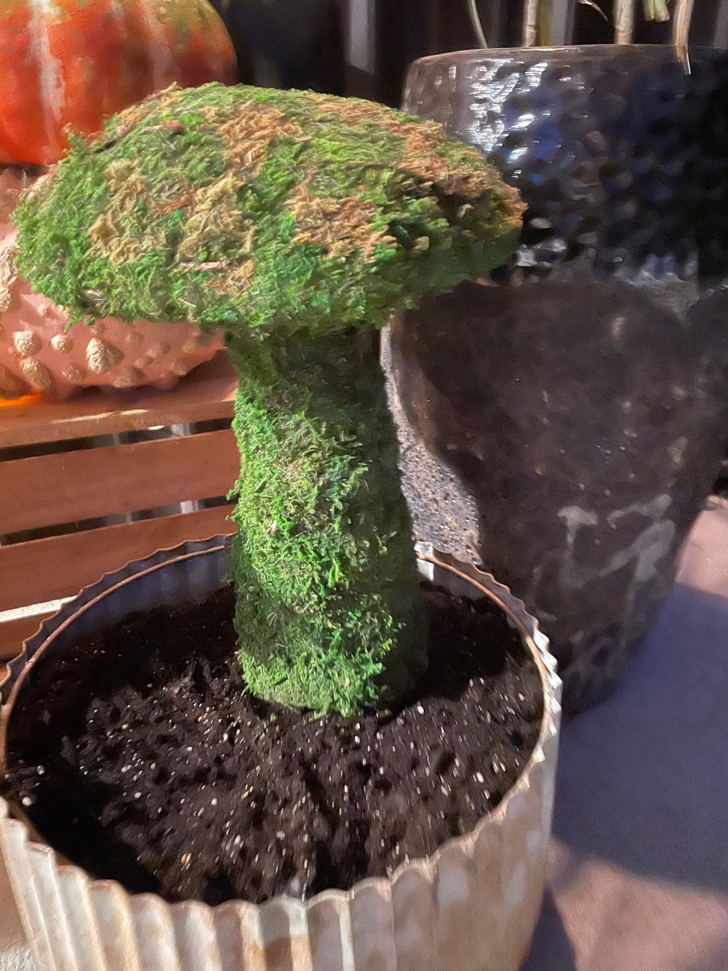 14”Deco Moss Mushroom