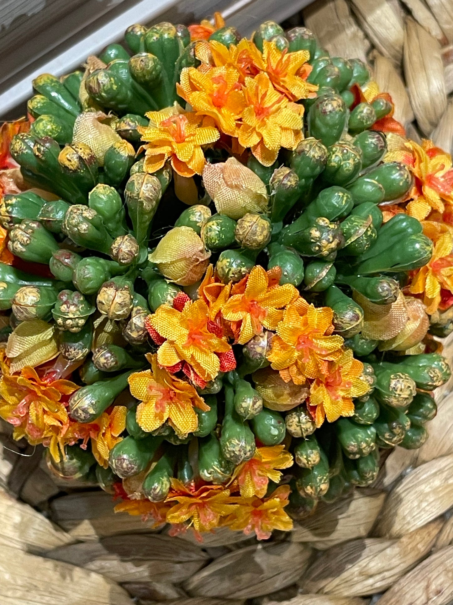 Orange Kalanchoe Orb