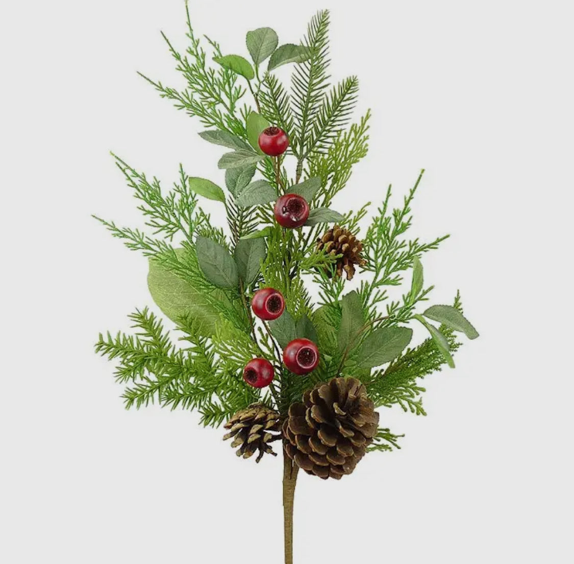 Mixed Pine, Crab Apple & Pinecone