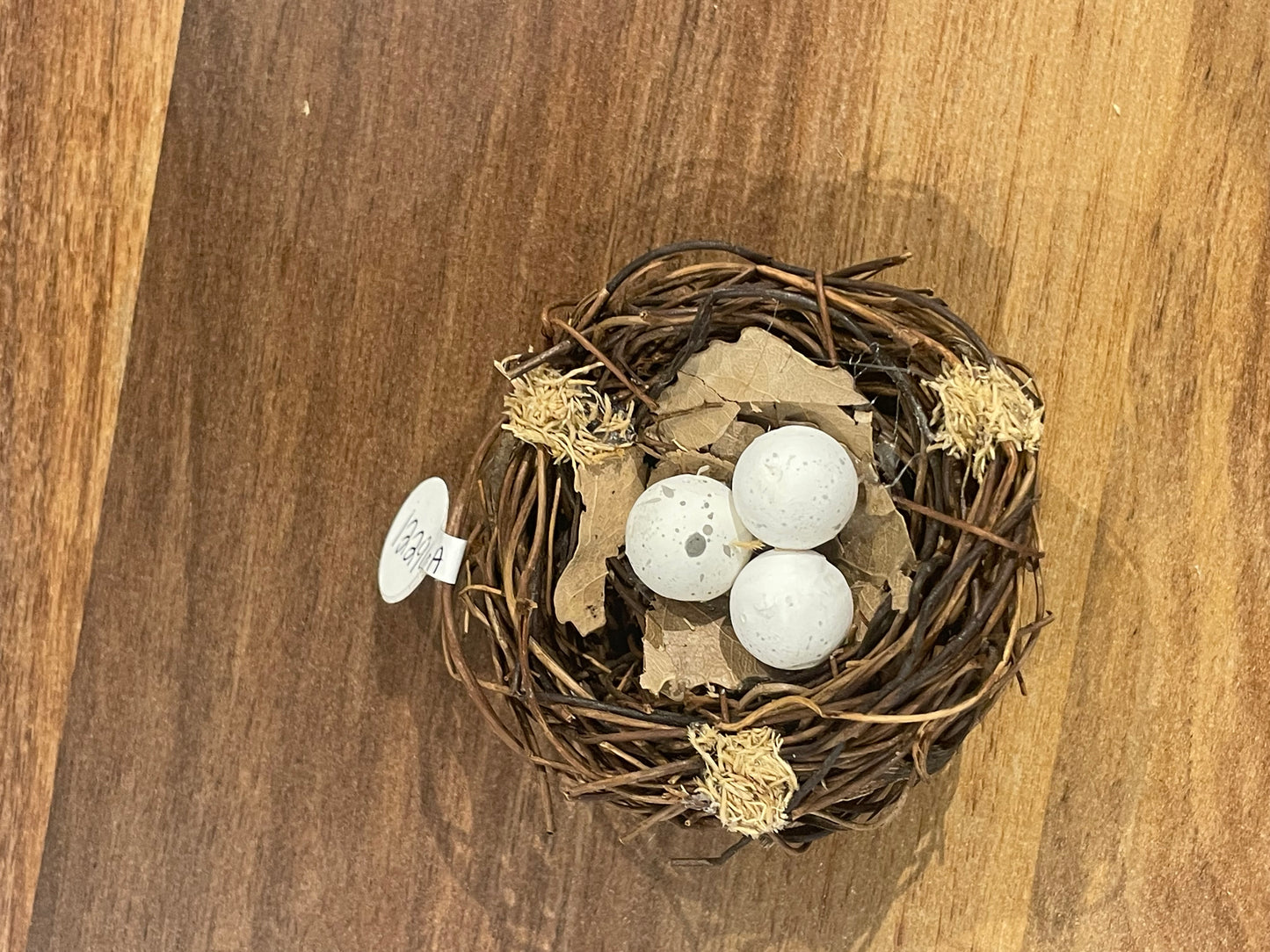 Nest w/eggs