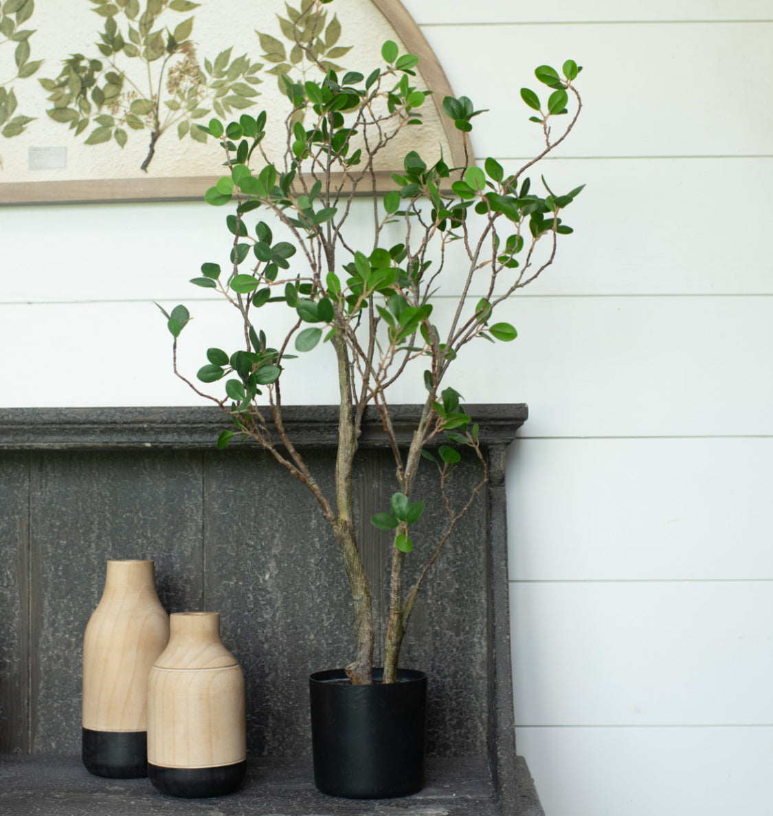 35” Tea Leaf Tree In Black Pot