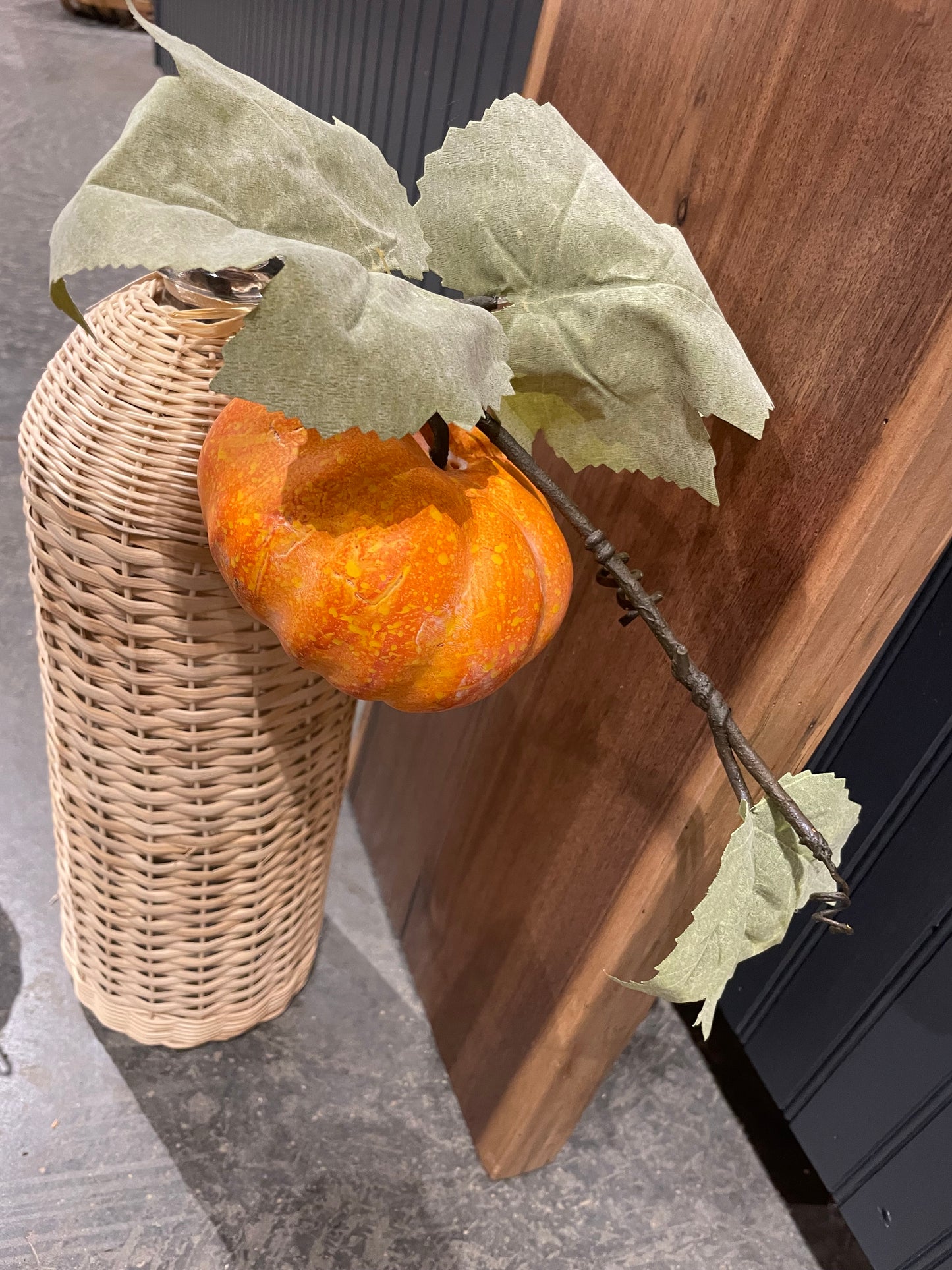 Orange Pumpkin Vine