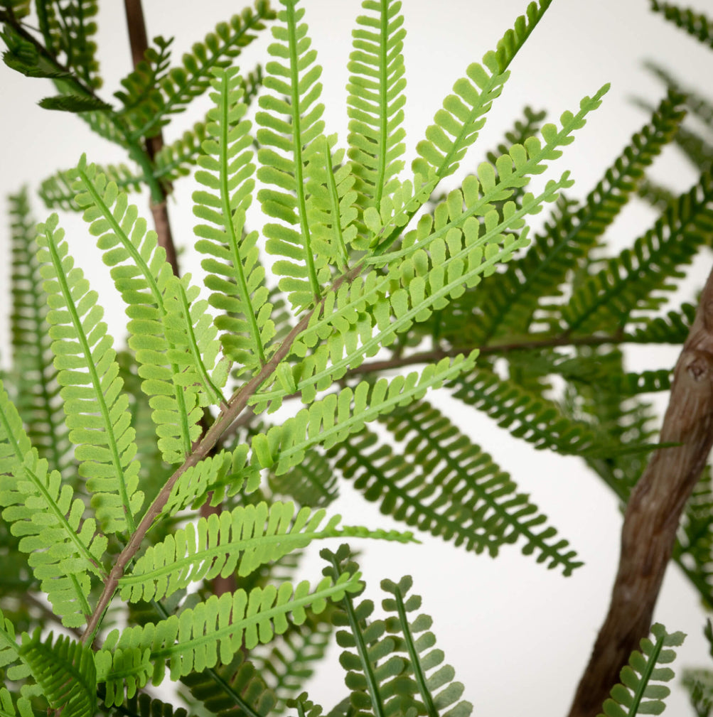 5’ Life-Like Fern Tree