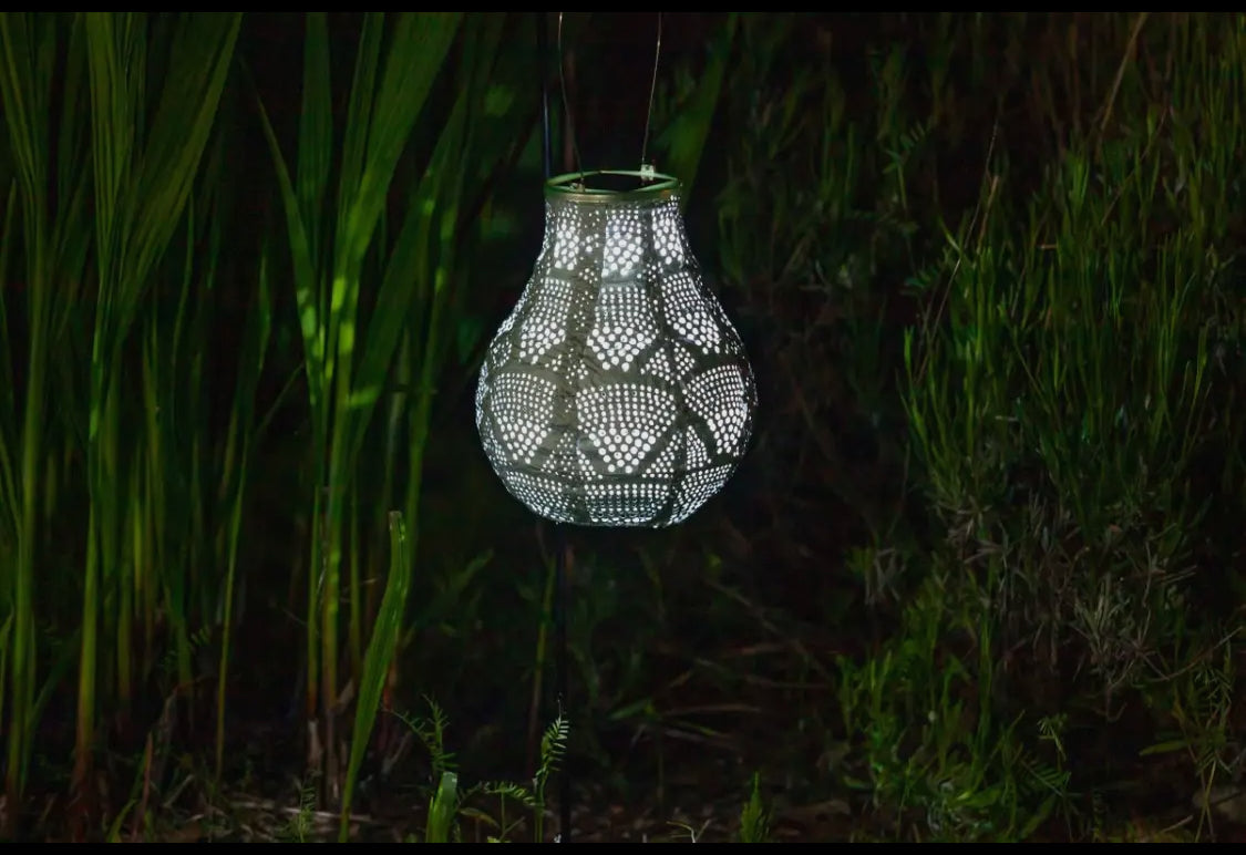 Stella 8” Bulb Solar Lantern-Sage