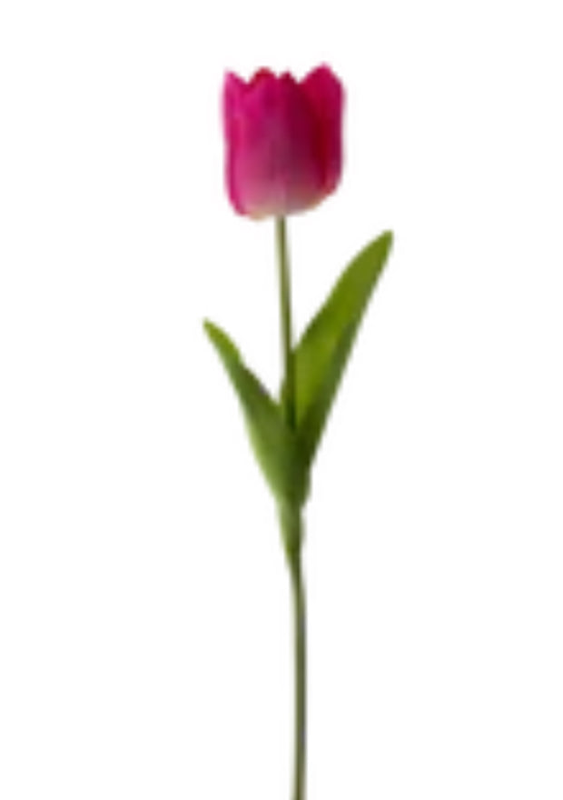 36” Real Touch Dark Pink Tulip