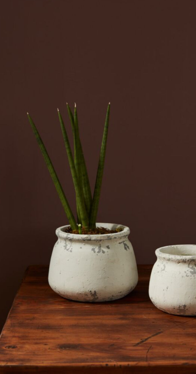 Shabby Pot