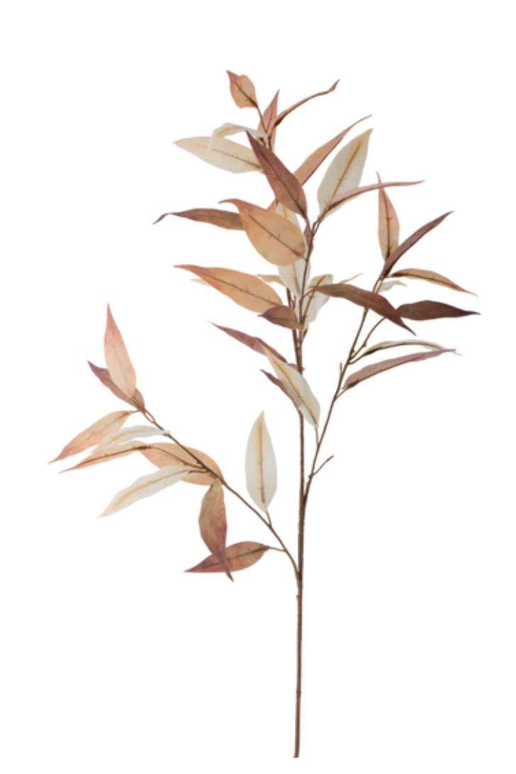 36” Lt Brown Silver Blade Eucalyptus