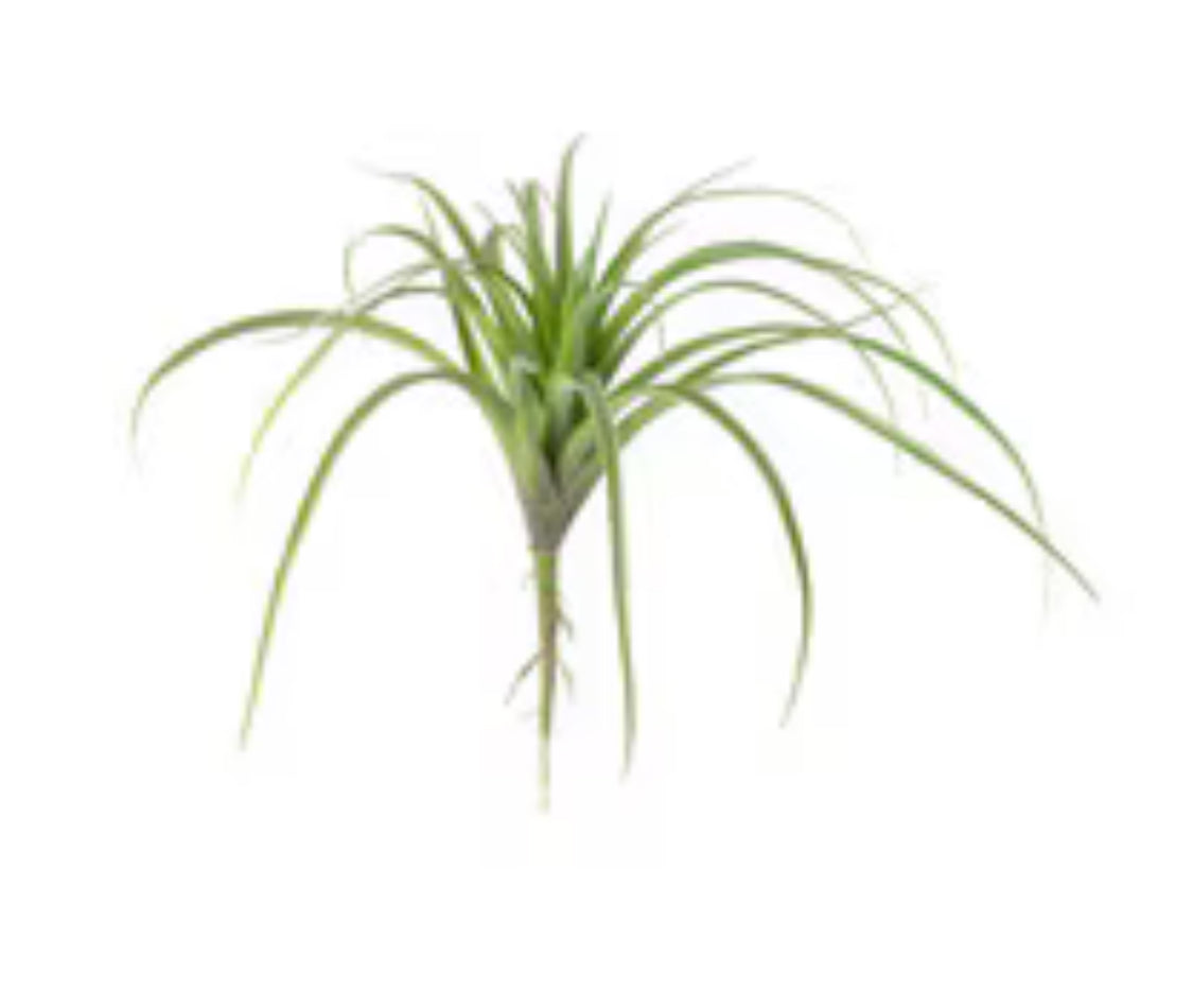 Lg Artificial Air Plant