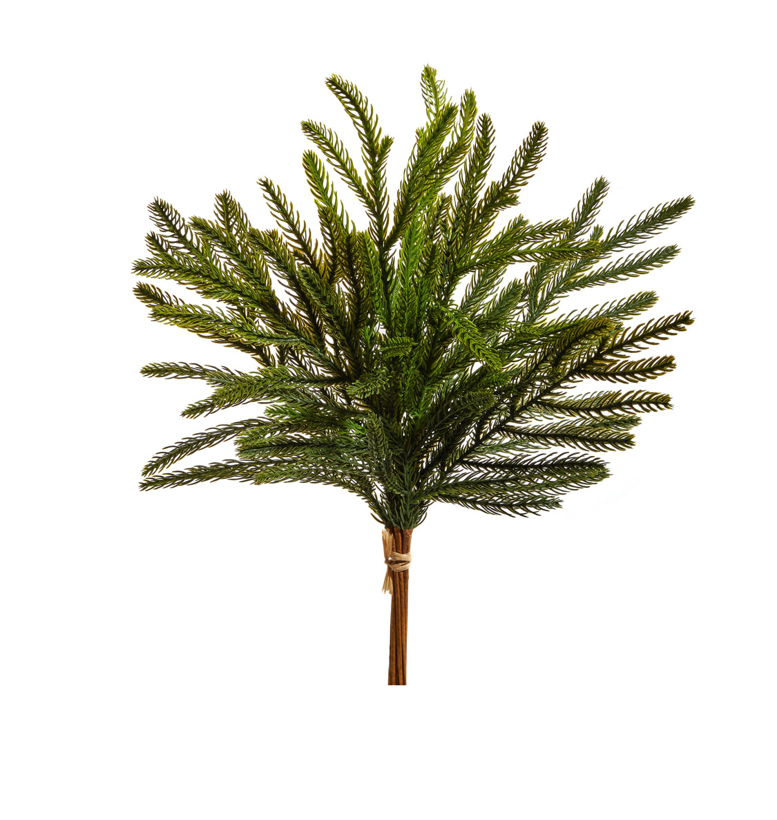 18” Balsam Fir Bundle