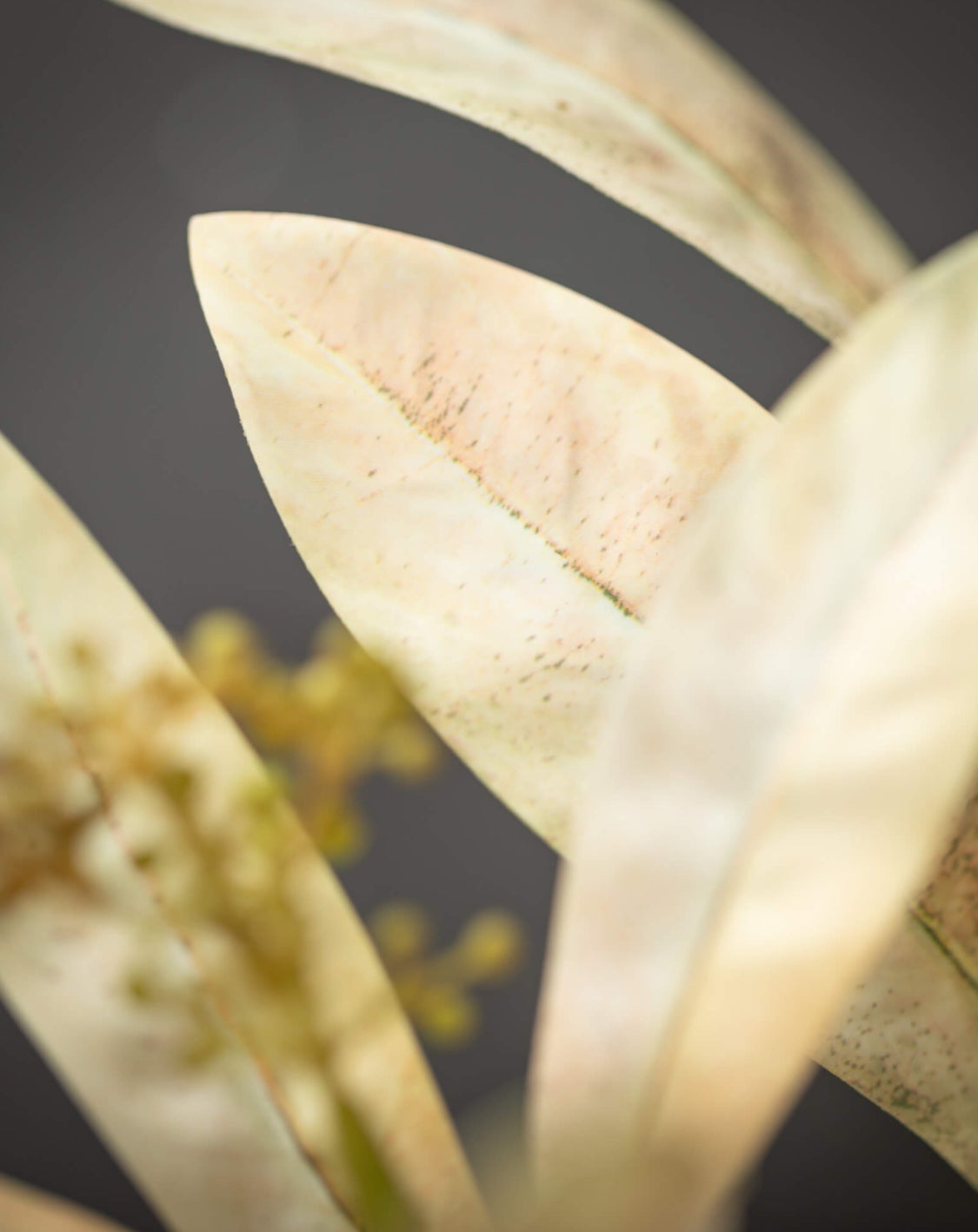 Cream Leaf Spray