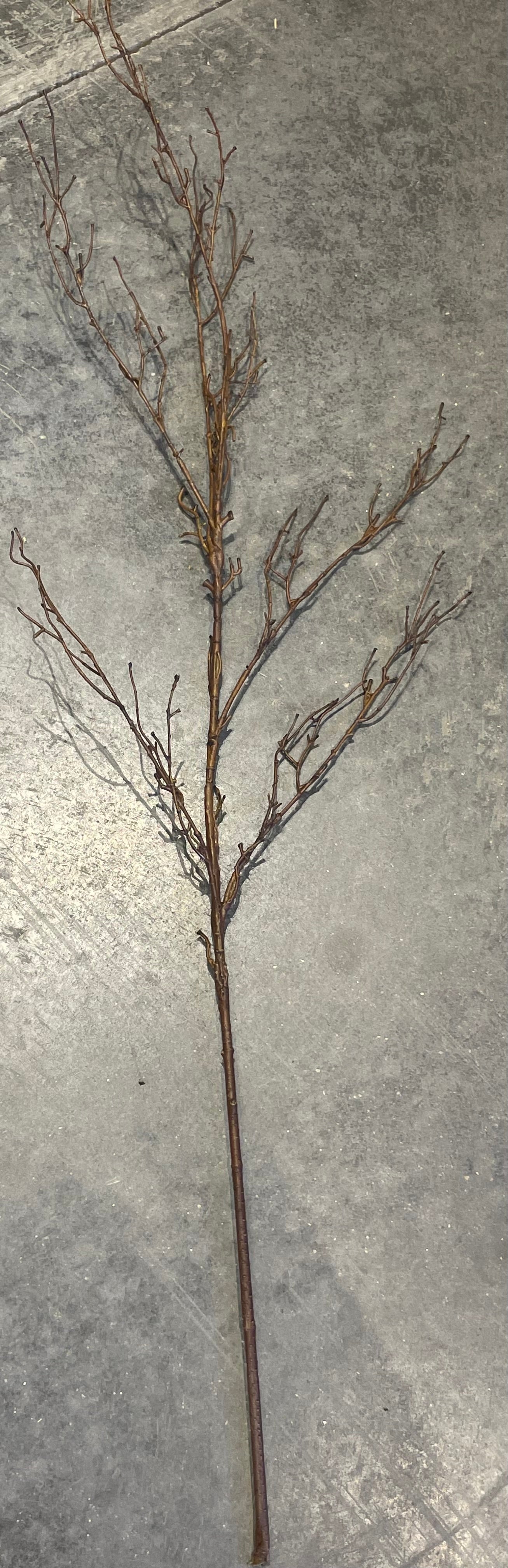 Twig Branch 48”