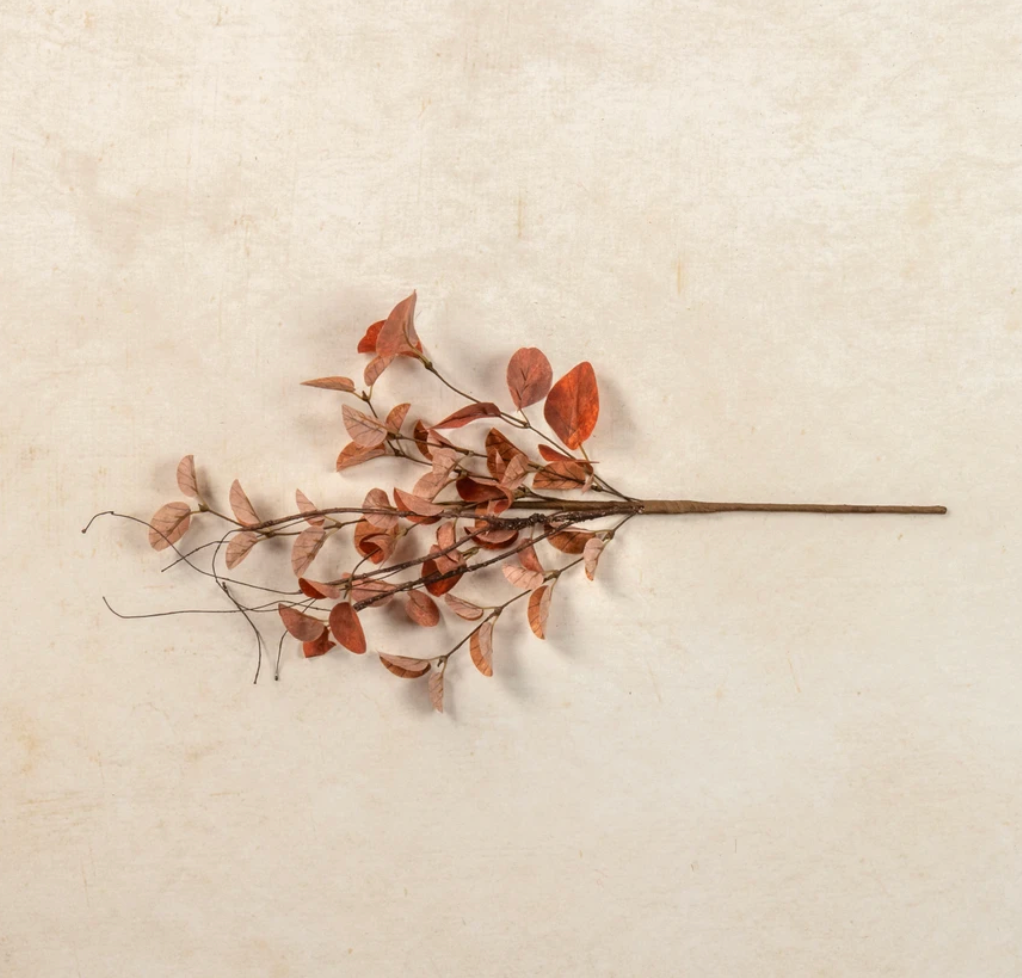 19.5” Orange Eucalyptus & Twig Pick