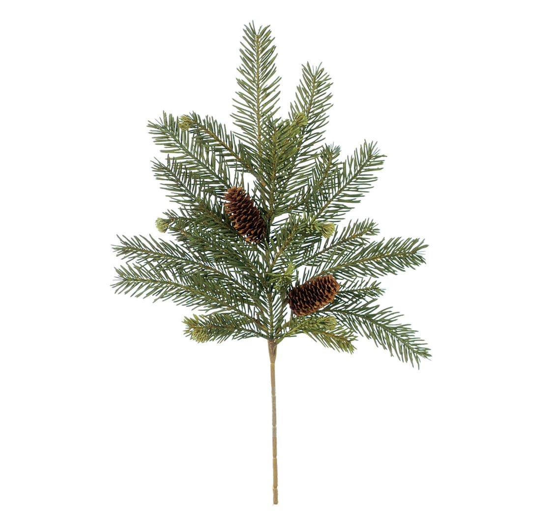 Alpine Fir Pick