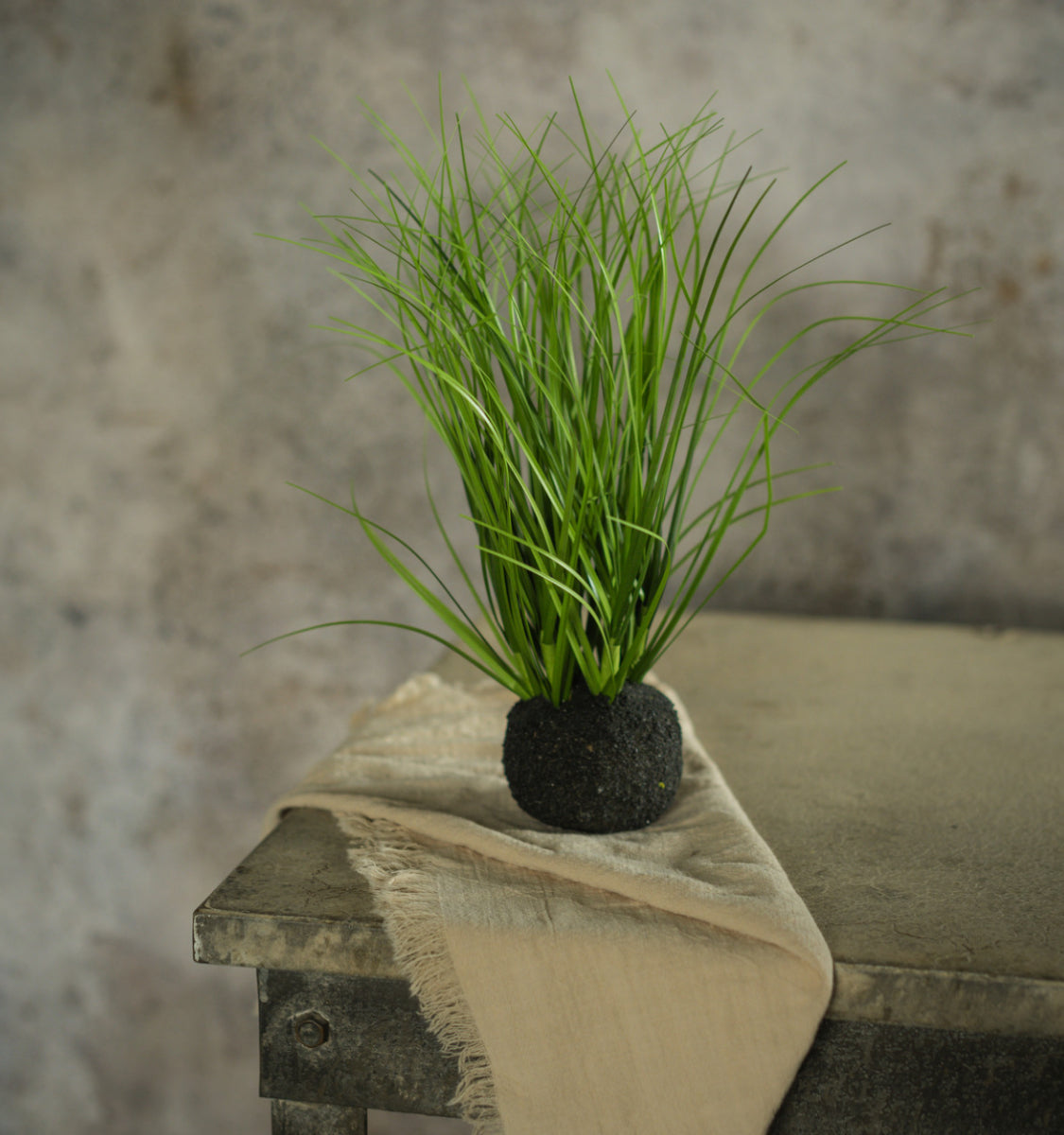 10” Wild Onion Grass Bulb