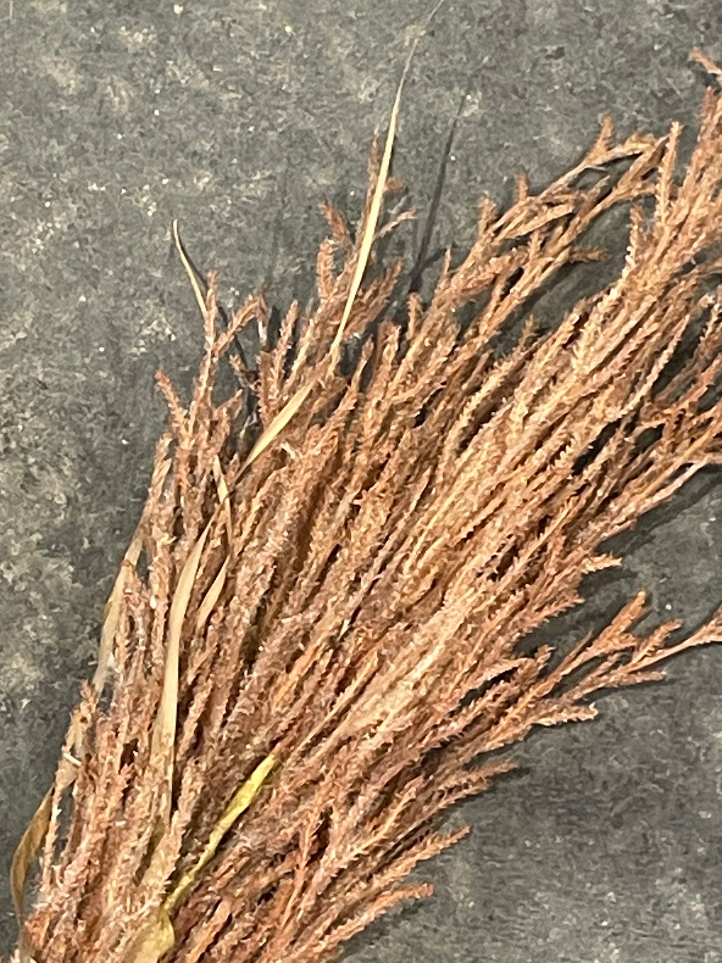 51”H Faux Grass Plume