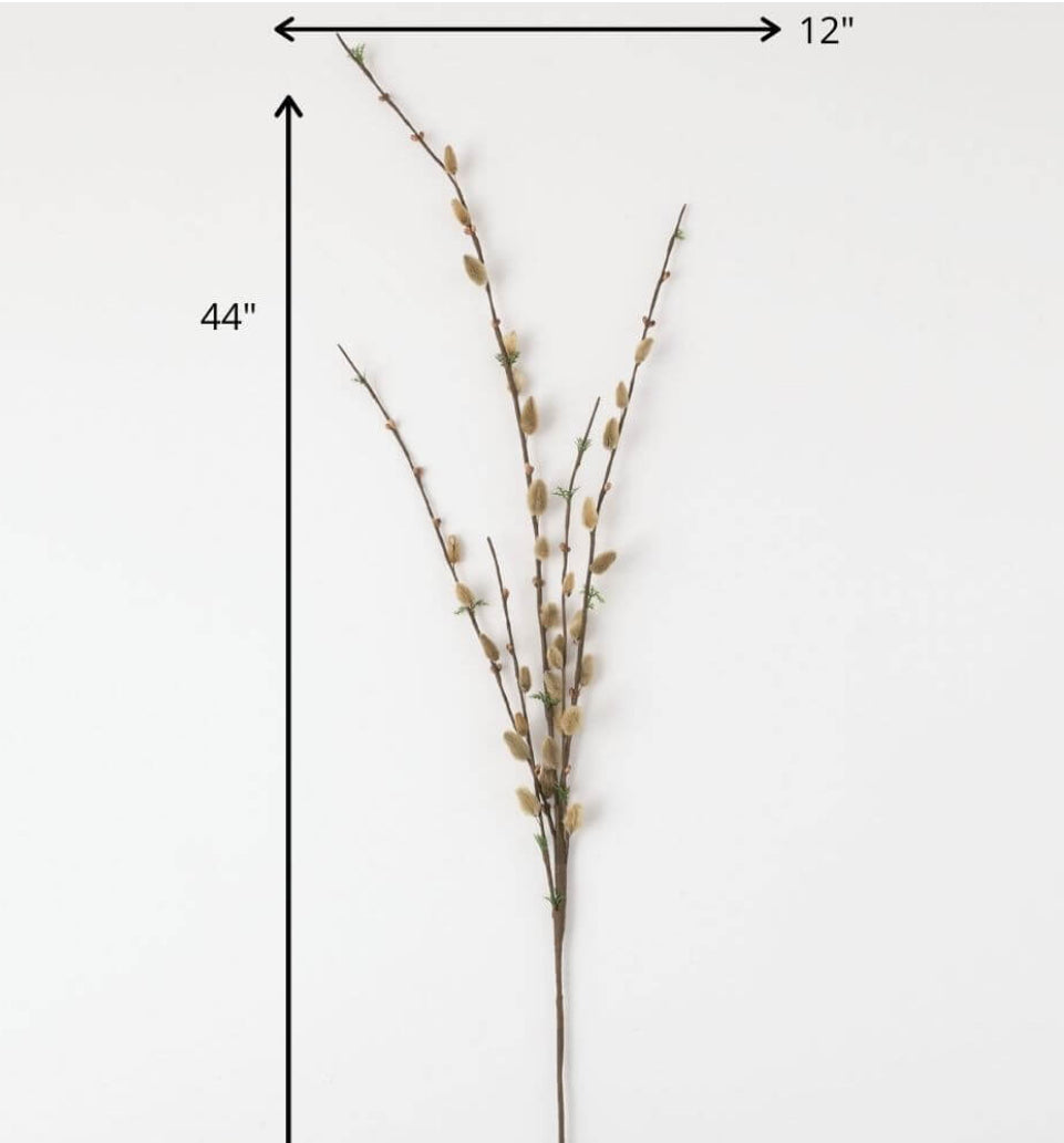 Pussywillow Spray