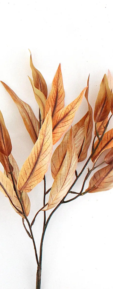 Fall Eucalyptus Stem