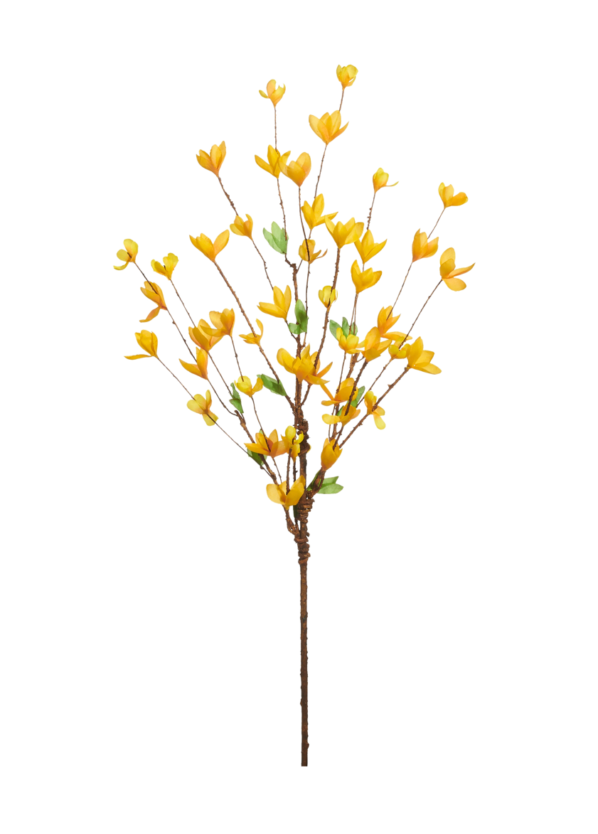 34” Forsythia Branch