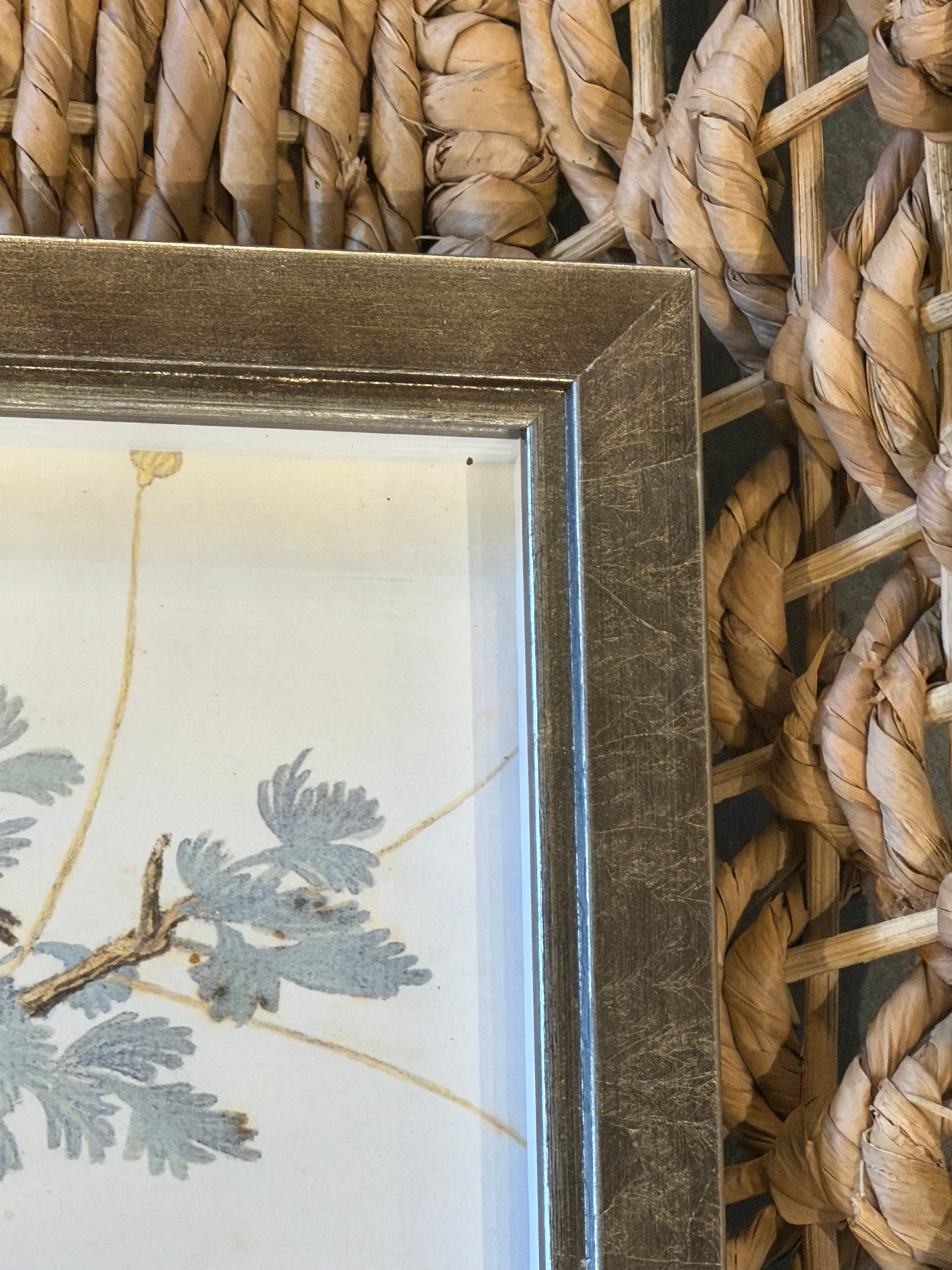 10” x 8” Vintage Bird Bookplate