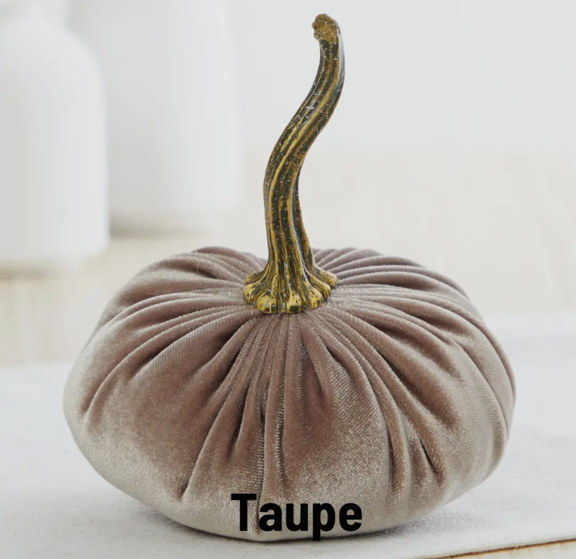 Small Velvet Pumpkin-Taupe