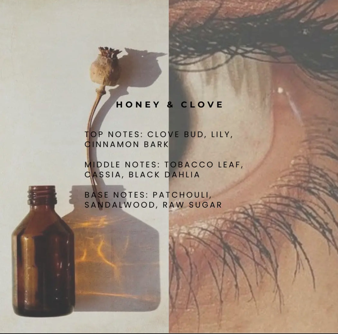 Honey & Clove Car Diffuser