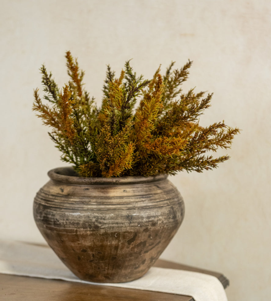 13” Brown & Gold Prickly Pine