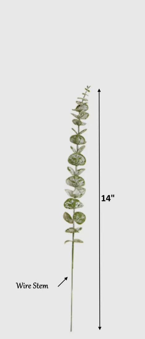 14”Spiral Eucalyptus Stem