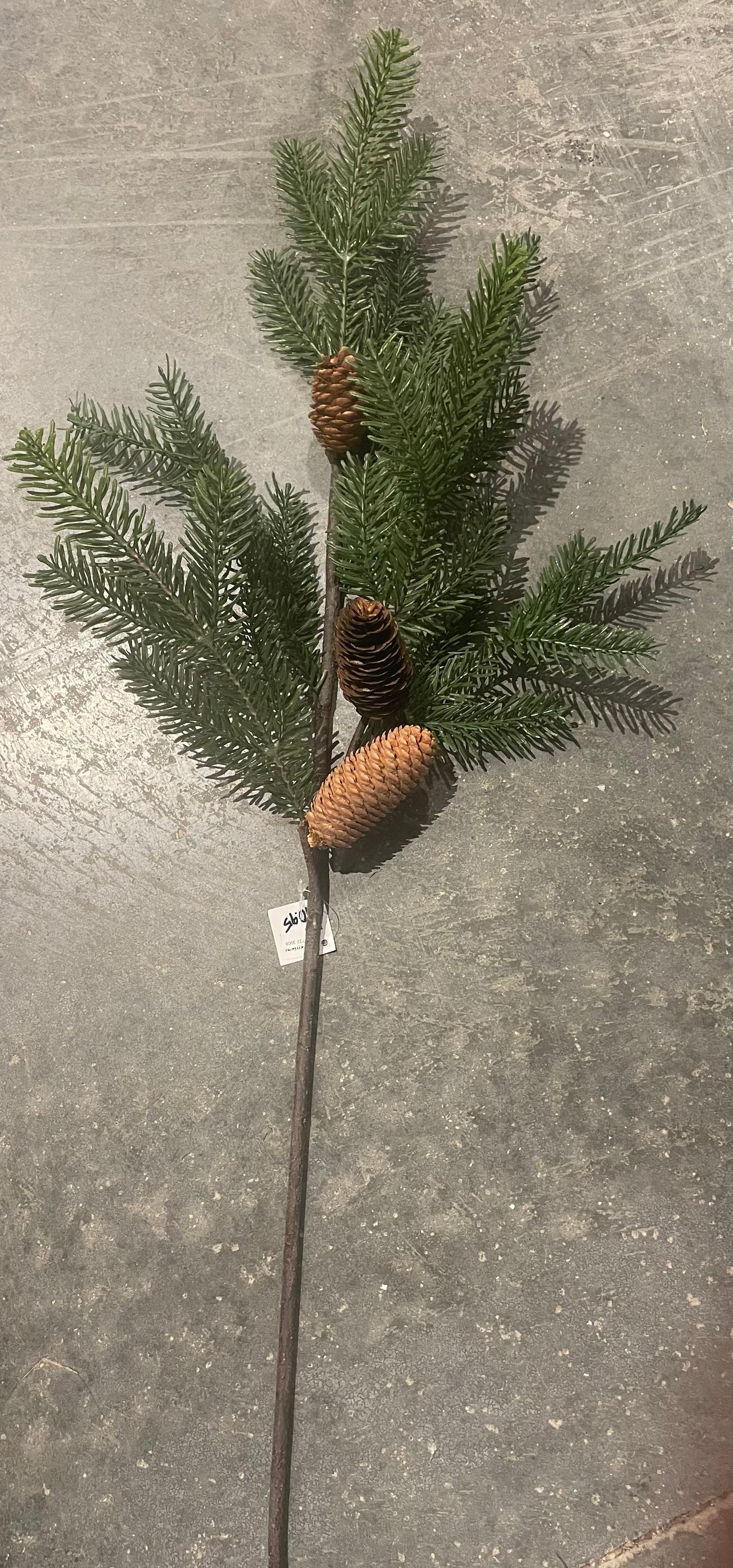 31.5” Pine Spray