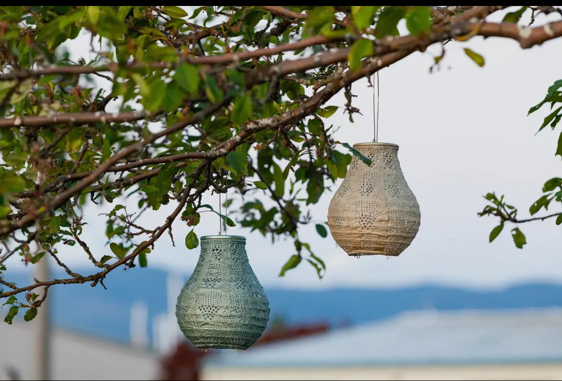 Stella 8” Bulb Solar Lantern-Sage