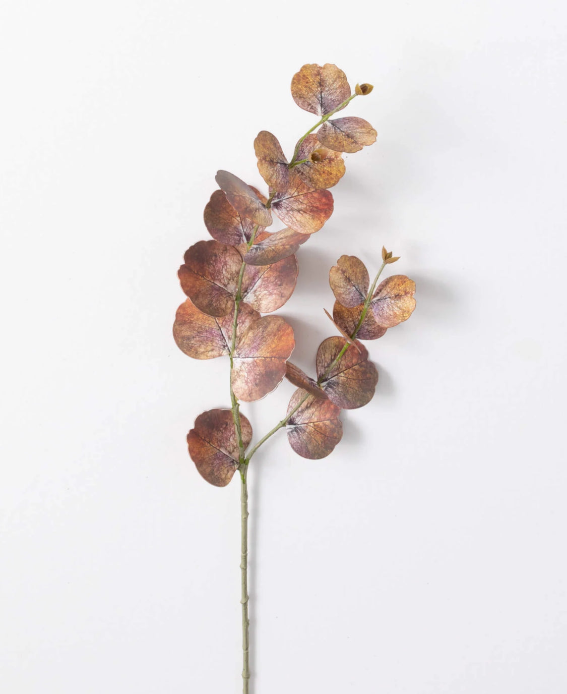Brown Eucalyptus Spray