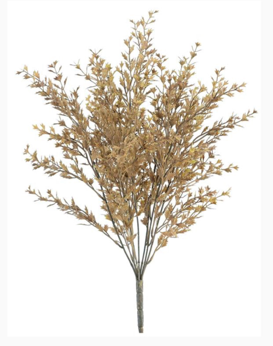 Caramel Mini Oak Bush