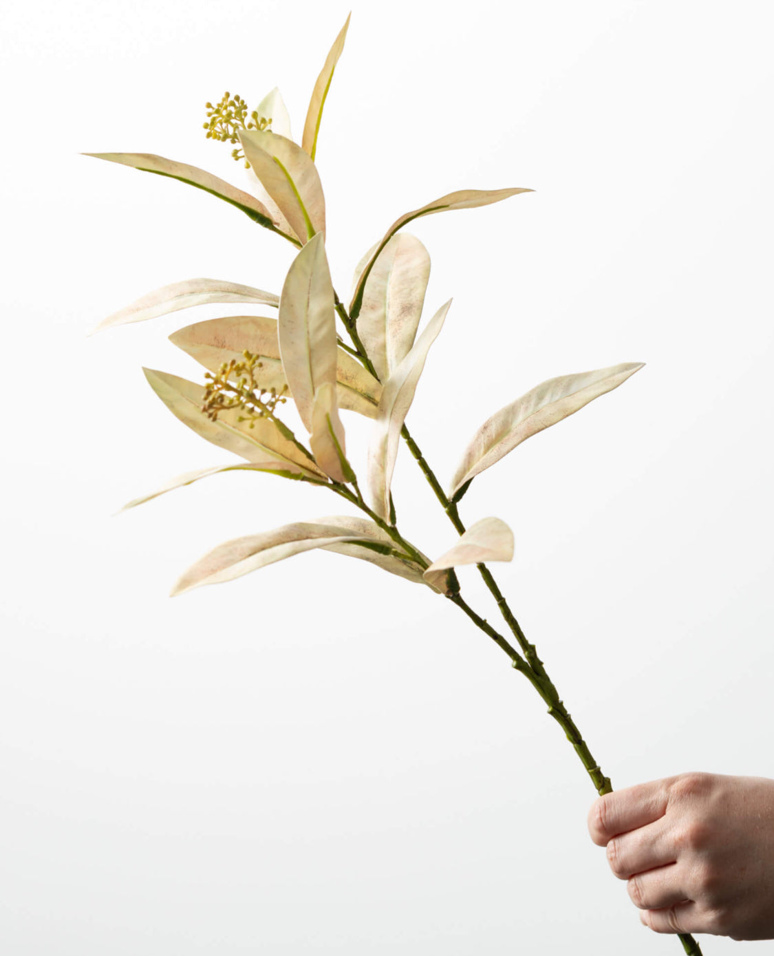 Cream Leaf Spray