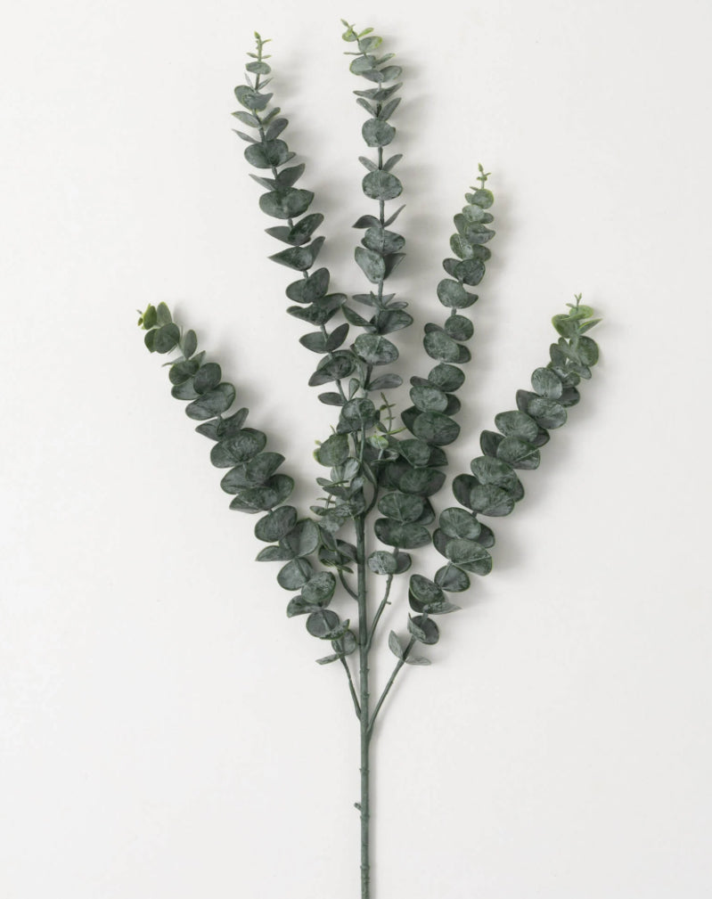 Eucalyptus Spray