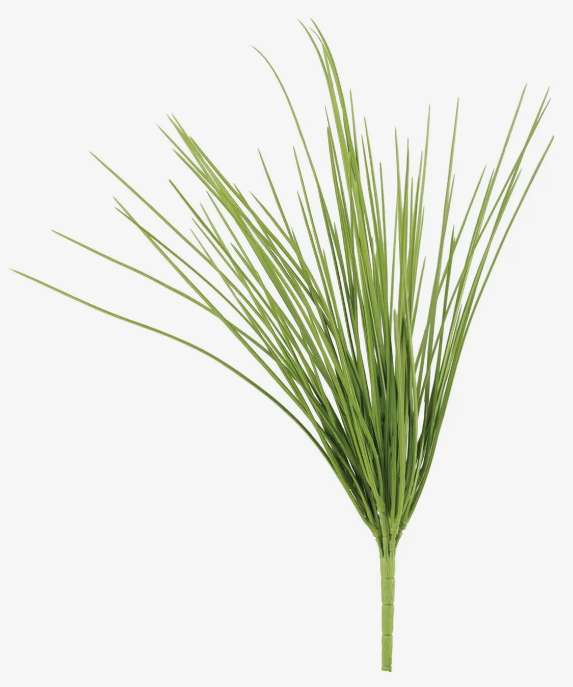 20.47” Grass Bush