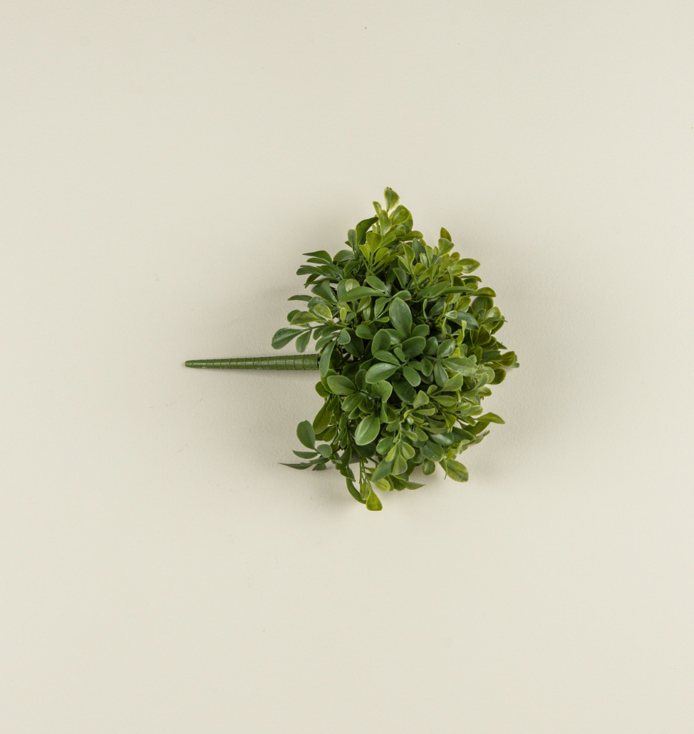 9.5” Boxwood Bush