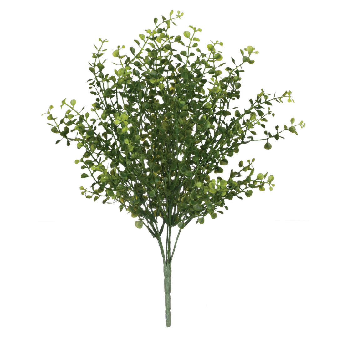 Baby Grass pick